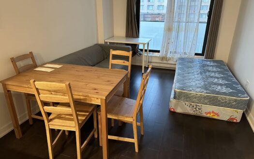 【公寓招租】近康大McGill市中心黄金地段三半高级公寓出租$1700