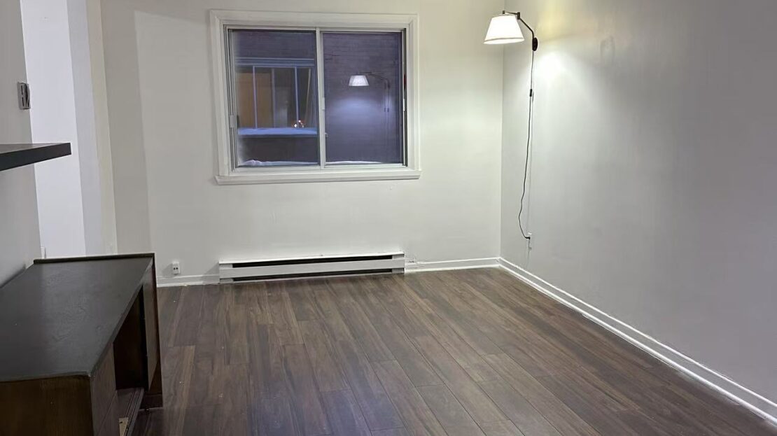 video image